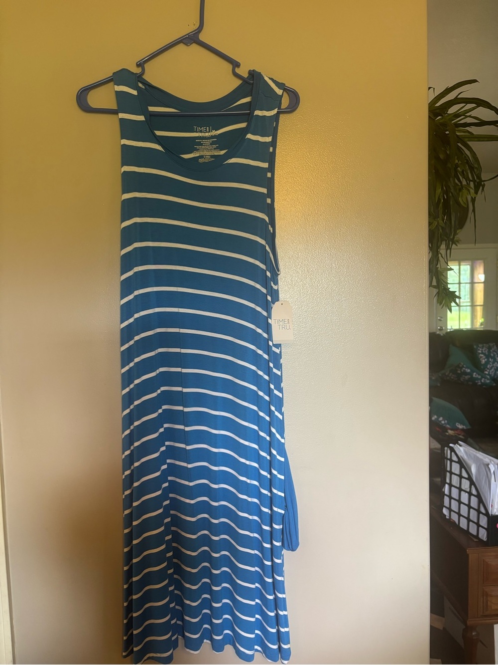 Time and Tru Whimsical Blue Stripe Maxi Dress